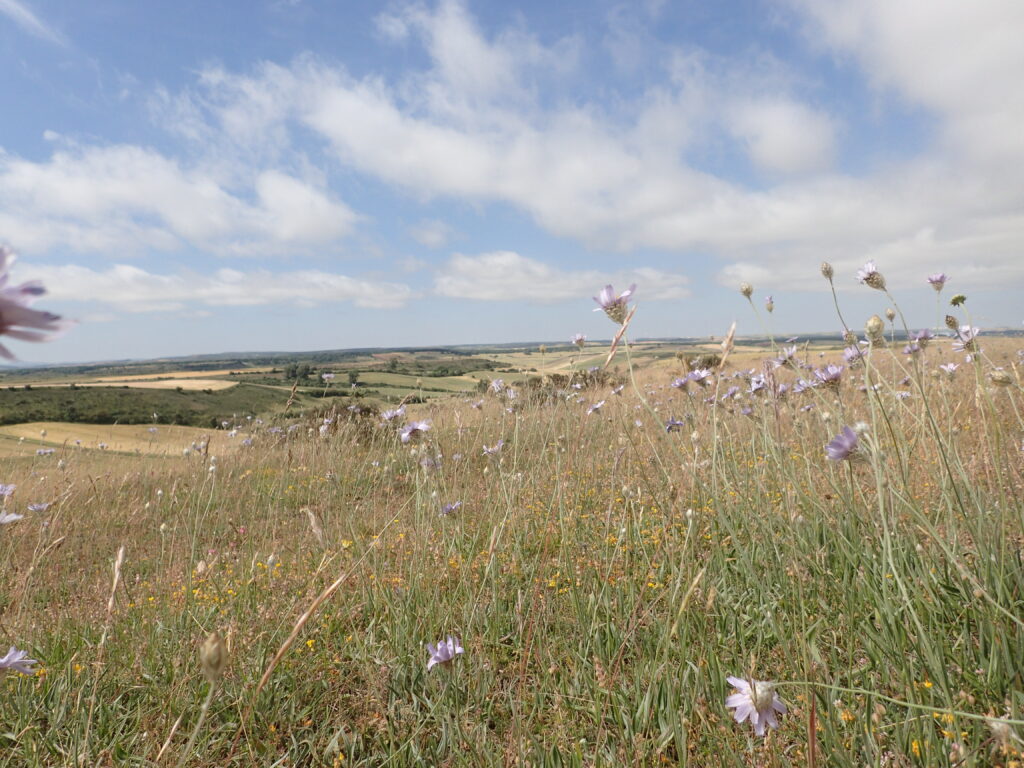 Pogledskozitravo na slikovito pokrajino